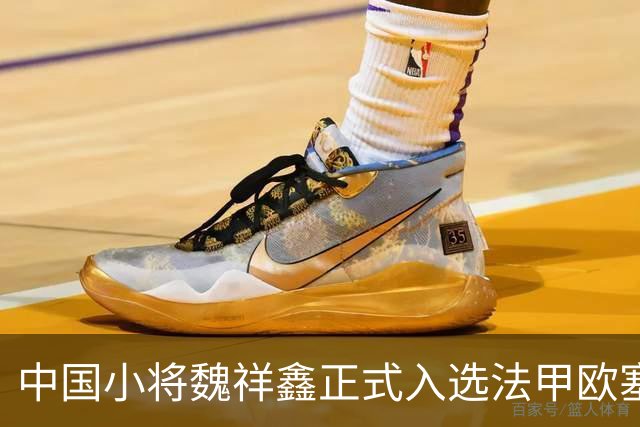 中国小将魏祥鑫正式入选法甲欧塞尔一线队